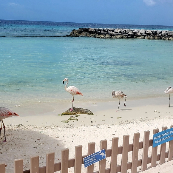 Meet your Posher, Jennifer - Picture 2 of 3